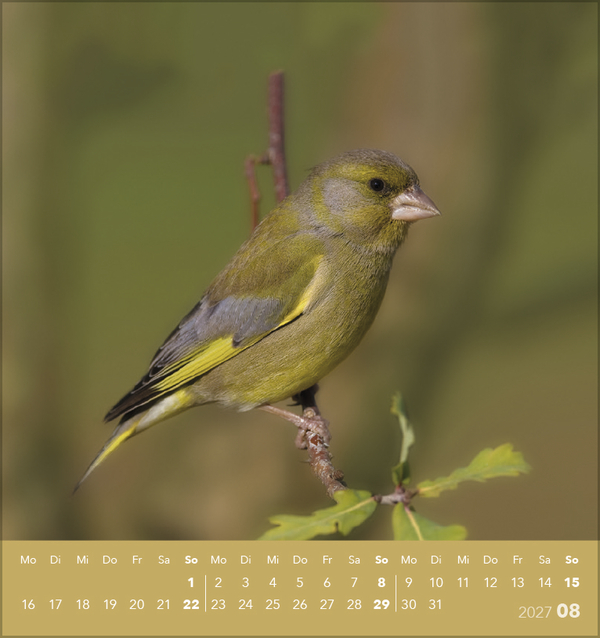 Weitere Ansicht: Vögel unserer Heimat 2027