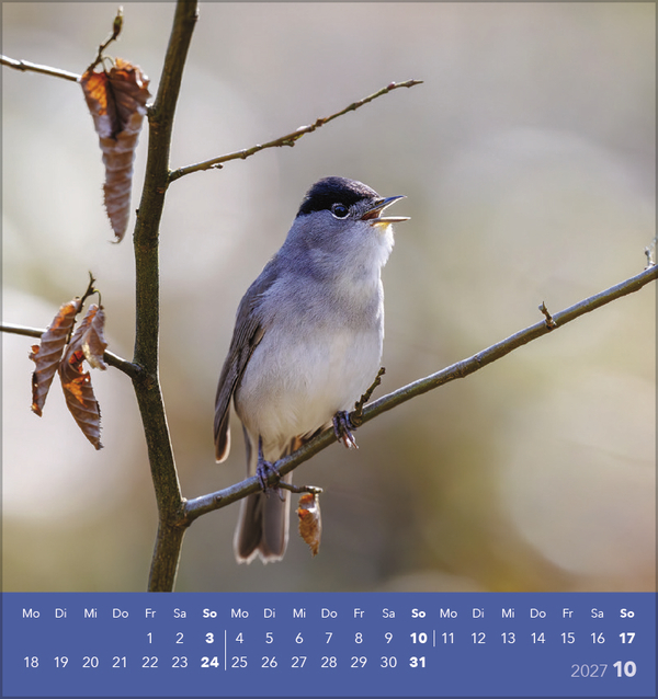 Weitere Ansicht: Vögel unserer Heimat 2027