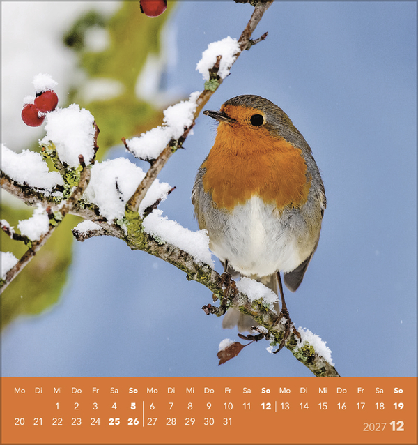 Weitere Ansicht: Vögel unserer Heimat 2027