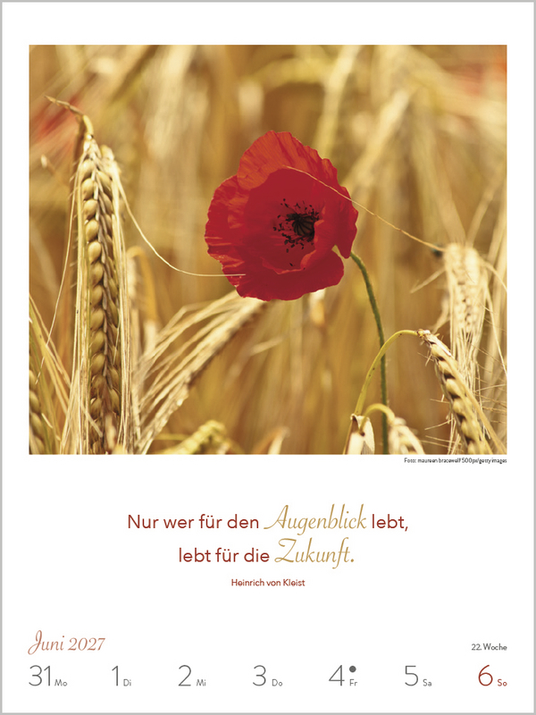 Weitere Ansicht: Literaturkalender Lebensweisheiten 2027