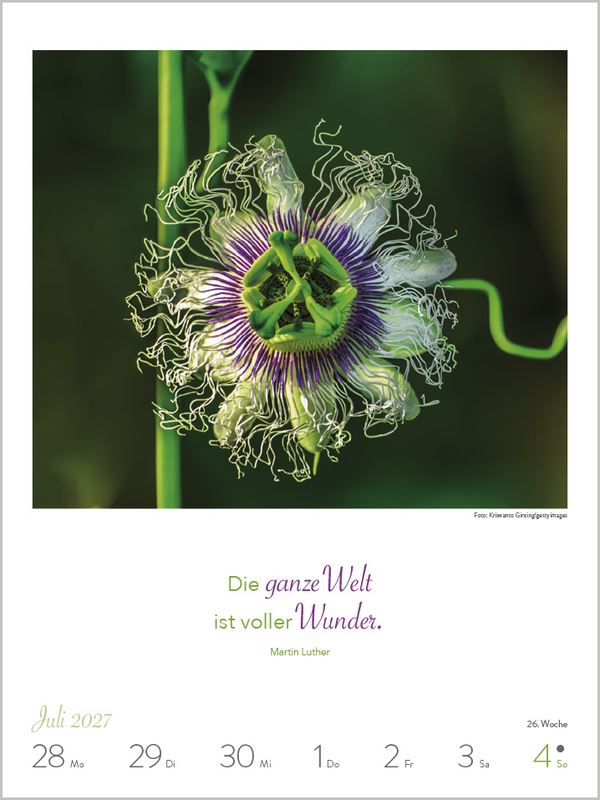 Weitere Ansicht: Literaturkalender Lebensweisheiten 2027