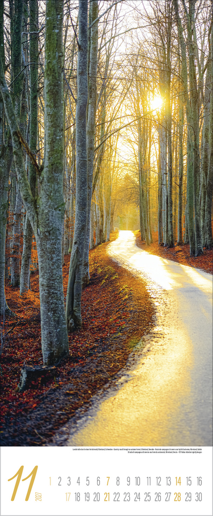 Weitere Ansicht: Magische Momente im Norden 2027