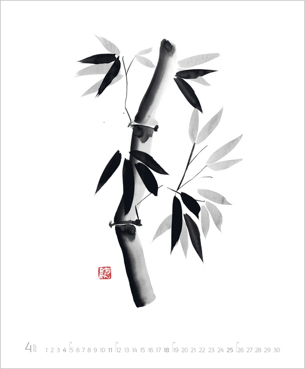 Weitere Ansicht: Die Kunst der Klarheit 2027 | Péchane