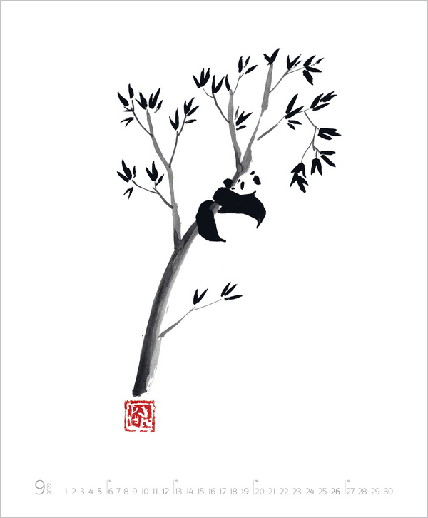 Weitere Ansicht: Die Kunst der Klarheit 2027 | Péchane