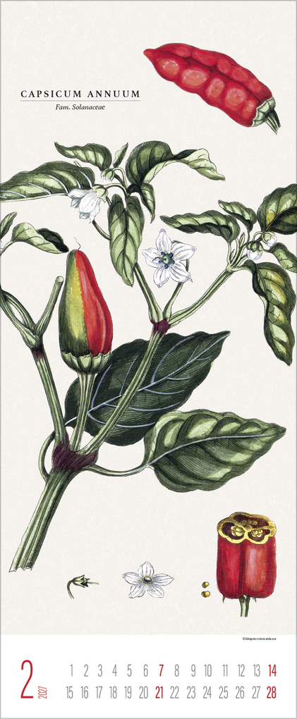 Weitere Ansicht: Botanicum 2027