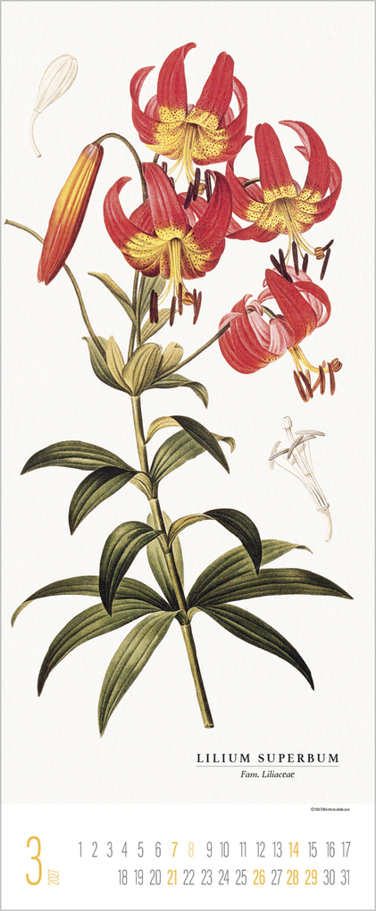 Weitere Ansicht: Botanicum 2027