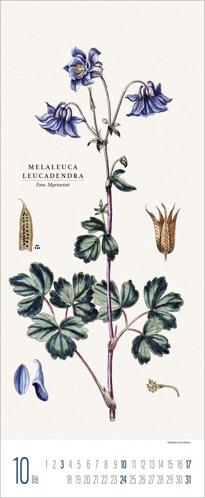 Weitere Ansicht: Botanicum 2027