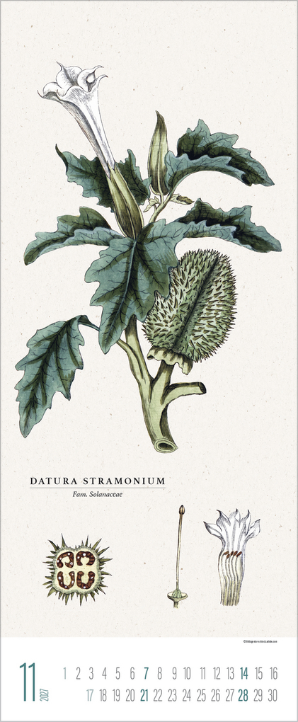 Weitere Ansicht: Botanicum 2027