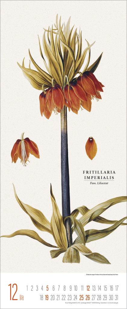 Weitere Ansicht: Botanicum 2027