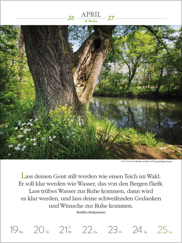 Weitere Ansicht: Buddhistische Weisheiten 2027