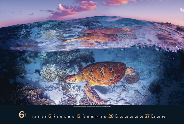 Weitere Ansicht: Magie der Meere 2027