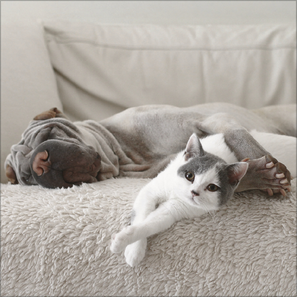 Weitere Ansicht: All we need is LOVE 2027