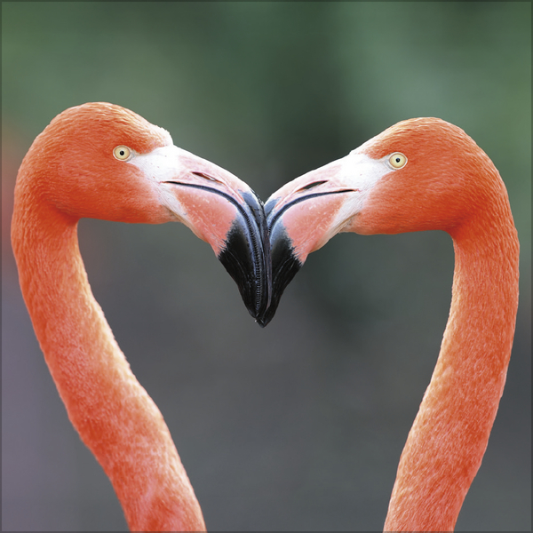 Weitere Ansicht: All we need is LOVE 2027