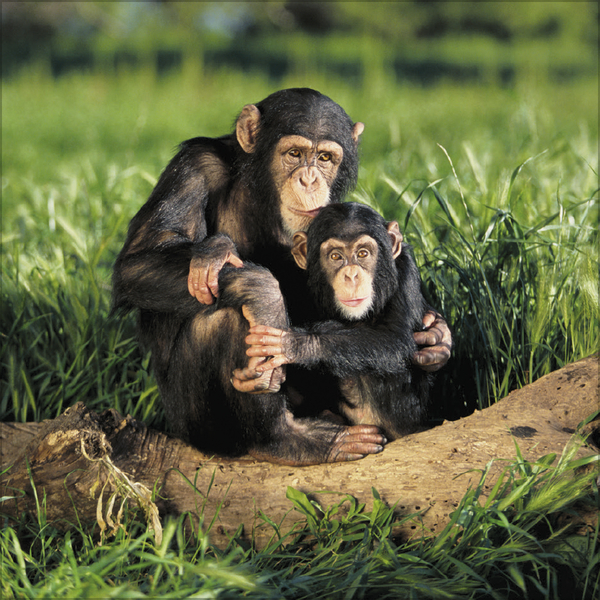 Weitere Ansicht: All we need is LOVE 2027