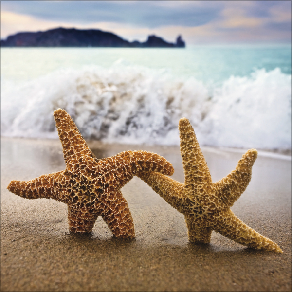 Weitere Ansicht: All we need is LOVE 2027