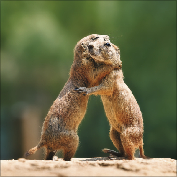 Weitere Ansicht: All we need is LOVE 2027