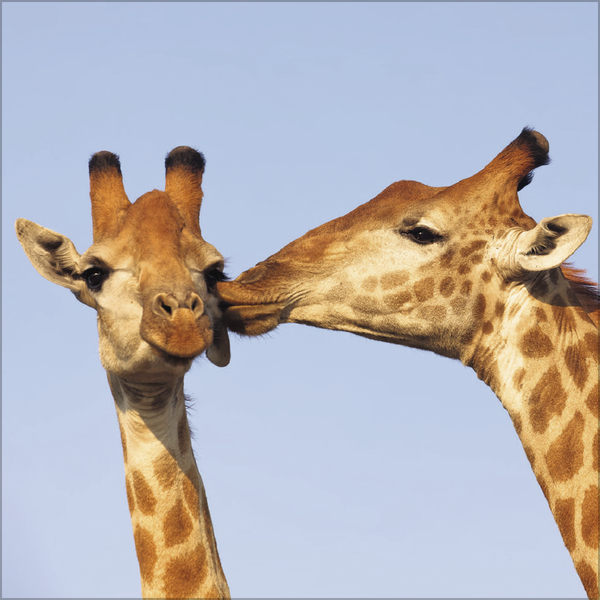 Weitere Ansicht: All we need is LOVE 2027