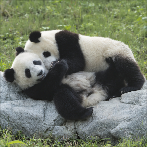 Weitere Ansicht: All we need is LOVE 2027