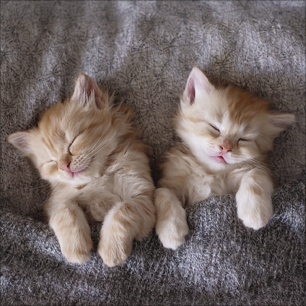 Weitere Ansicht: All we need is LOVE 2027