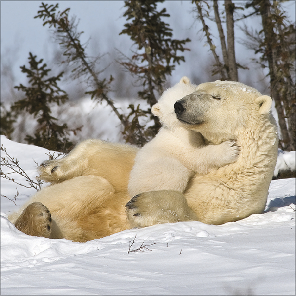 Weitere Ansicht: All we need is LOVE 2027