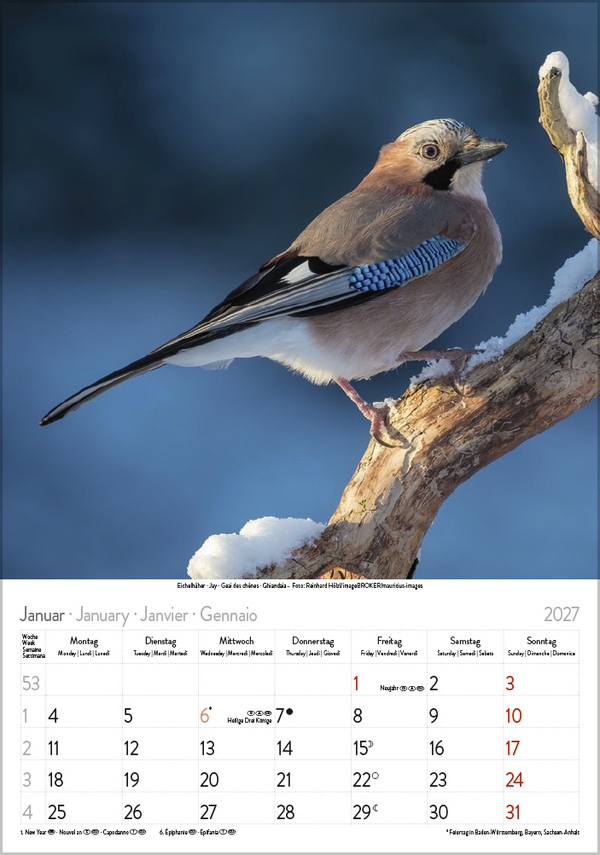 Weitere Ansicht: Vögel 2027