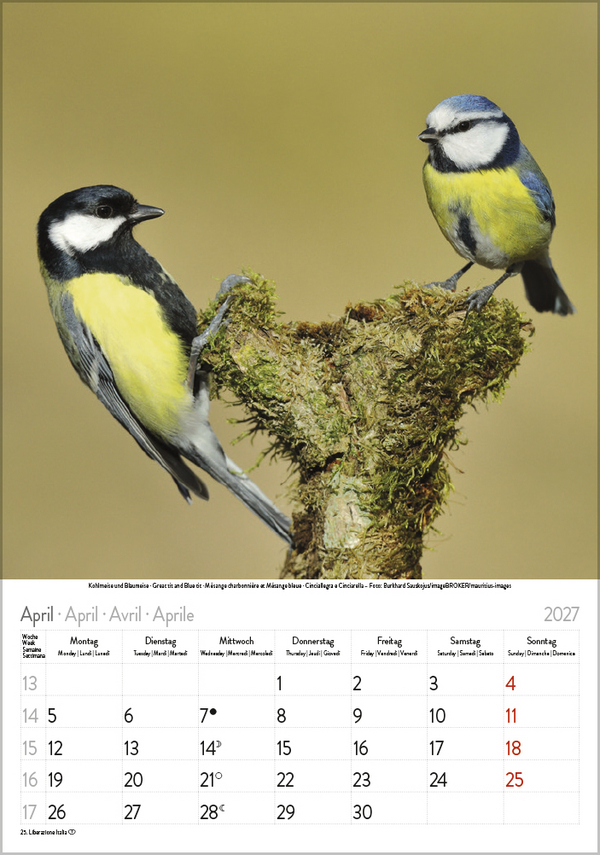 Weitere Ansicht: Vögel 2027