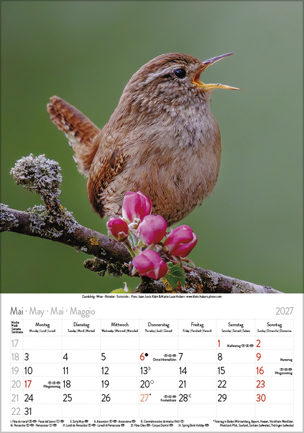 Weitere Ansicht: Vögel 2027