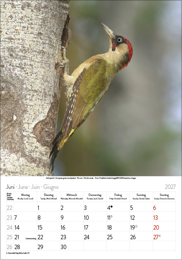 Weitere Ansicht: Vögel 2027