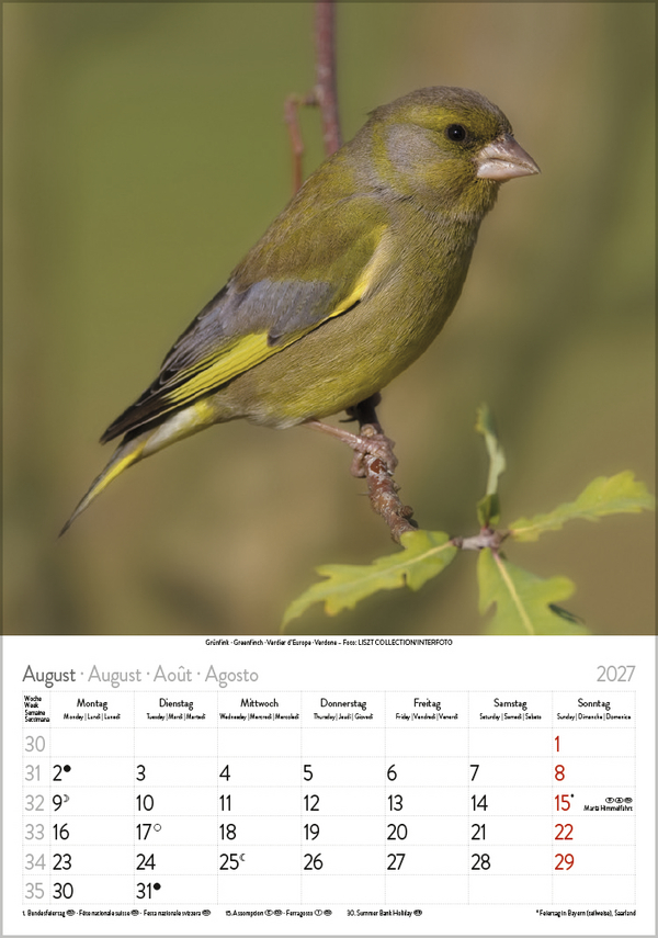 Weitere Ansicht: Vögel 2027