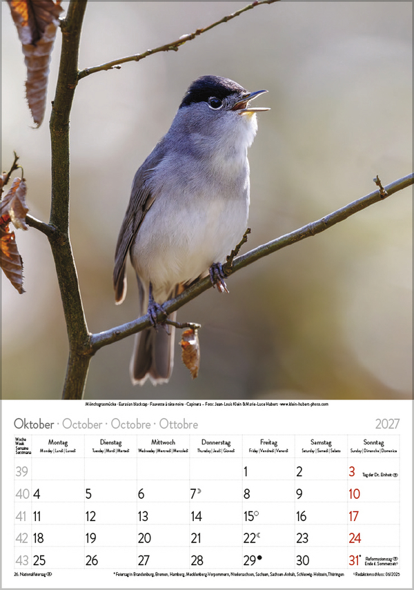 Weitere Ansicht: Vögel 2027