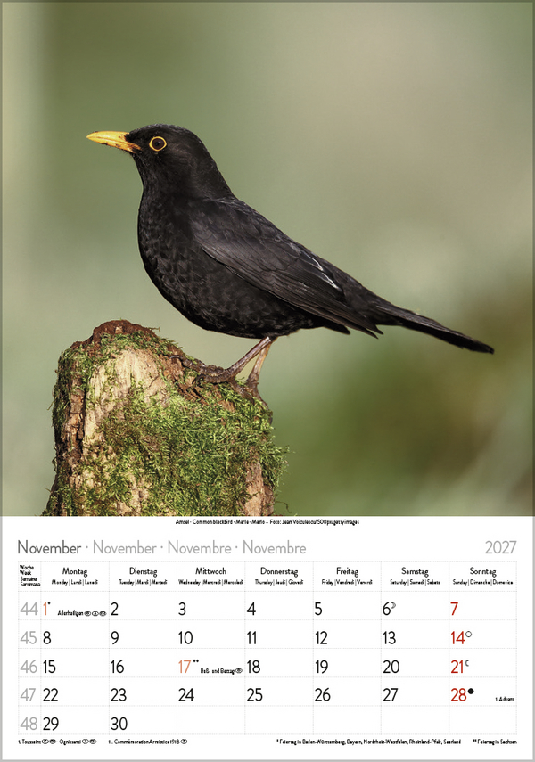 Weitere Ansicht: Vögel 2027