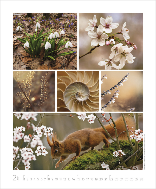 Weitere Ansicht: NaturGenuss 2027