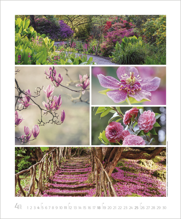 Weitere Ansicht: NaturGenuss 2027