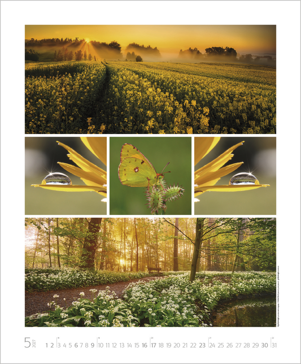 Weitere Ansicht: NaturGenuss 2027