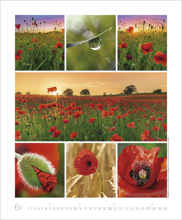 Weitere Ansicht: NaturGenuss 2027