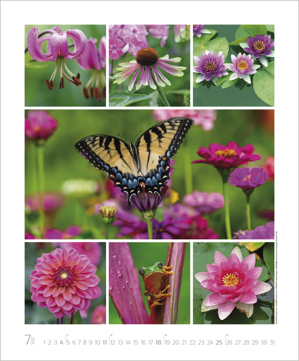 Weitere Ansicht: NaturGenuss 2027