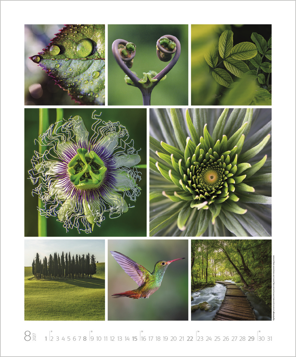 Weitere Ansicht: NaturGenuss 2027