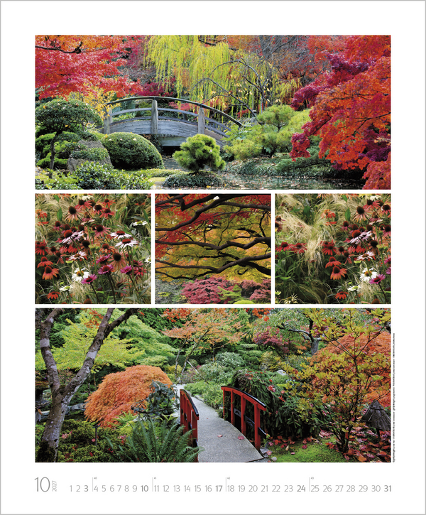 Weitere Ansicht: NaturGenuss 2027