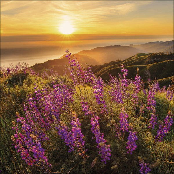 Weitere Ansicht: Sunsets 2027