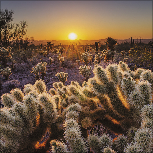 Weitere Ansicht: Sunsets 2027