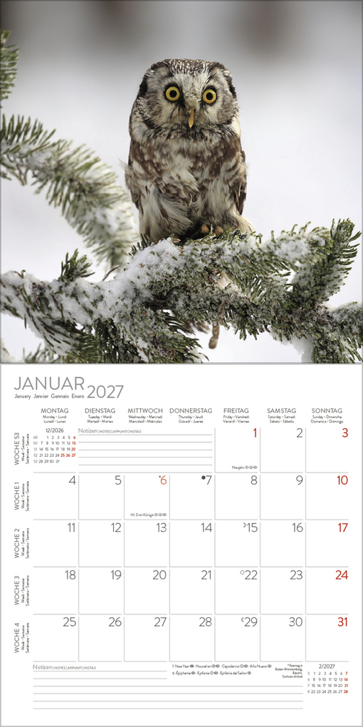 Weitere Ansicht: Eulen 2027