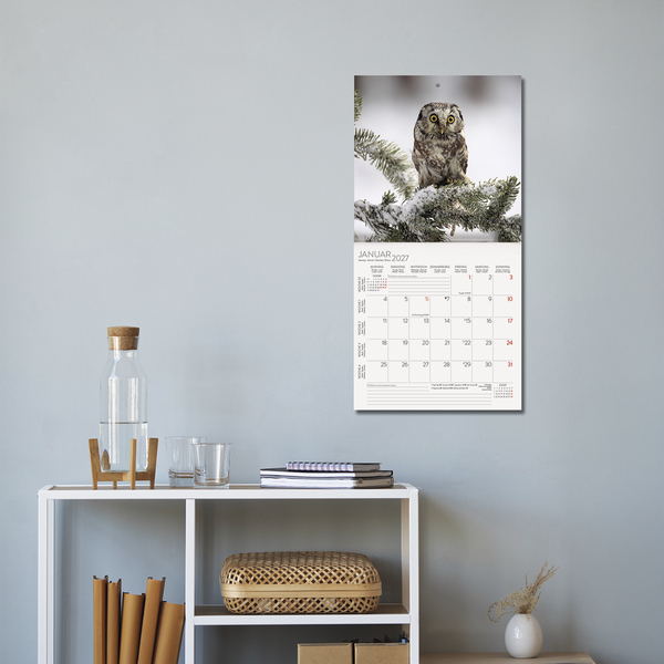 Weitere Ansicht: Eulen 2027