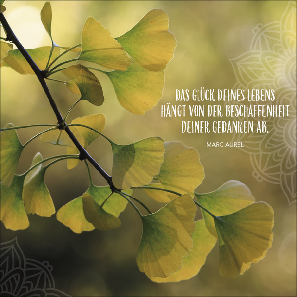 Weitere Ansicht: Achtsamkeit 2027