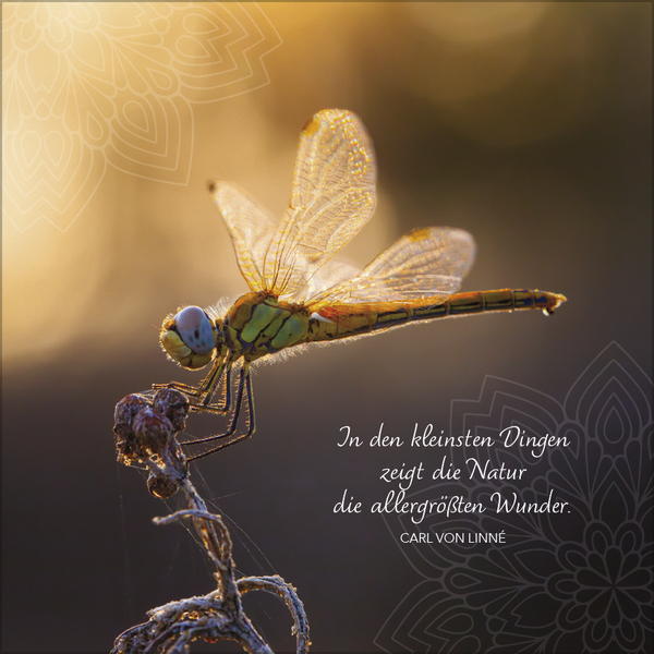 Weitere Ansicht: Achtsamkeit 2027