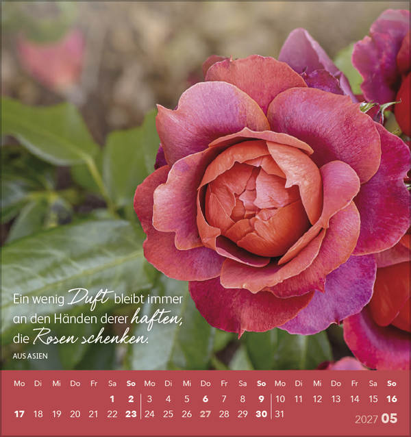 Weitere Ansicht: Schön, dass es dich gibt! 2027