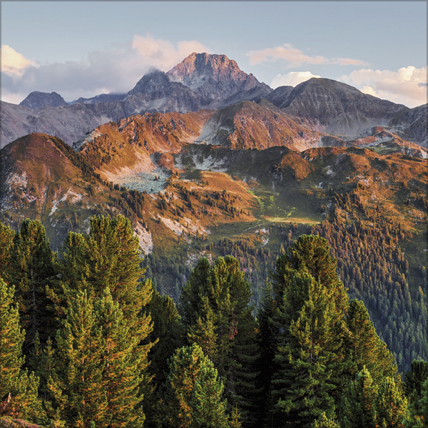 Weitere Ansicht: Alpen 2027