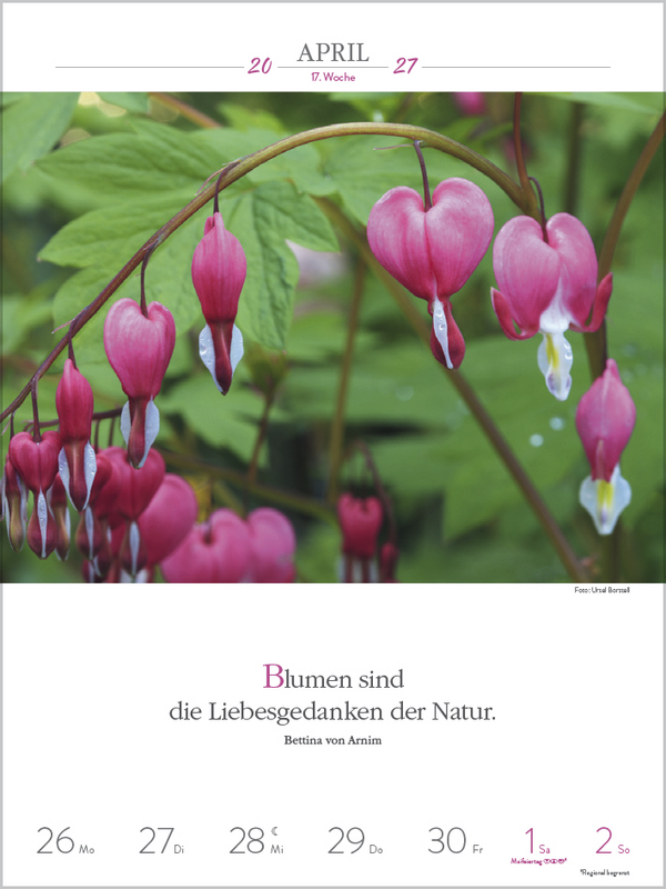 Weitere Ansicht: Literaturkalender Gartenlust 2027