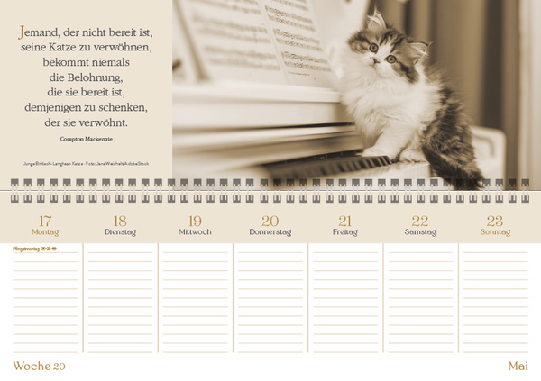 Weitere Ansicht: Der literarische Katzenplaner Tischquerkalender 2027