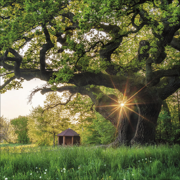 Weitere Ansicht: Bayern 2027
