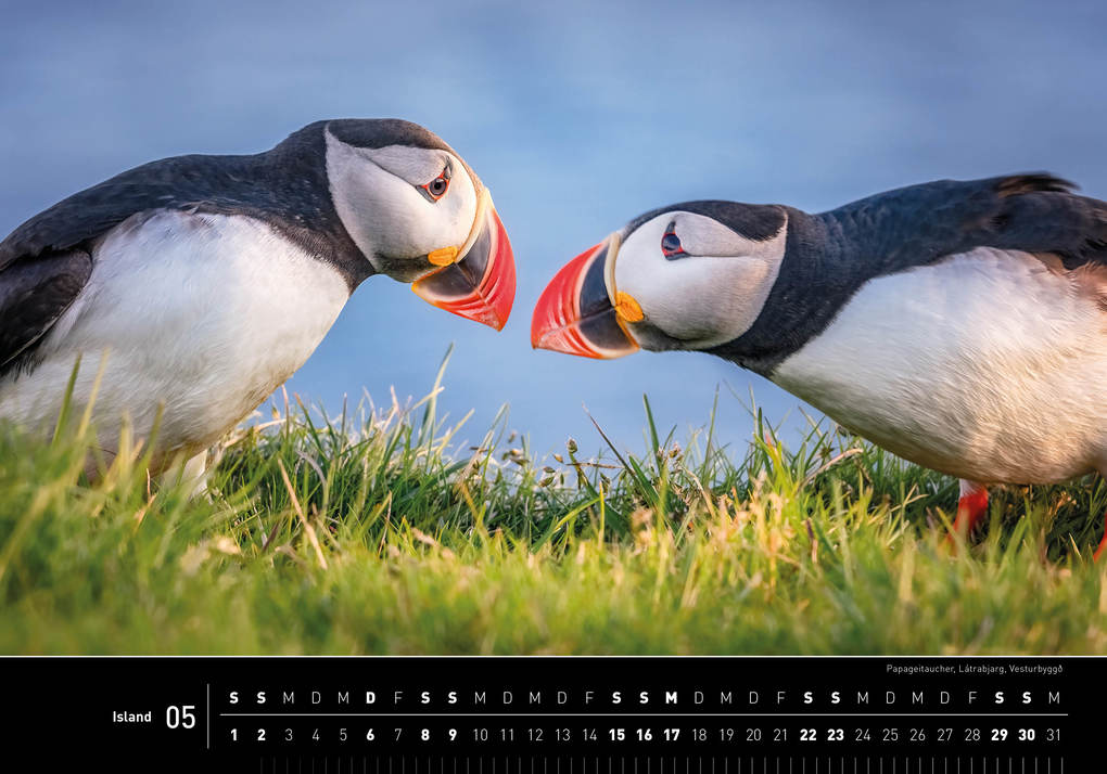 Weitere Ansicht: Island Premiumkalender 2027